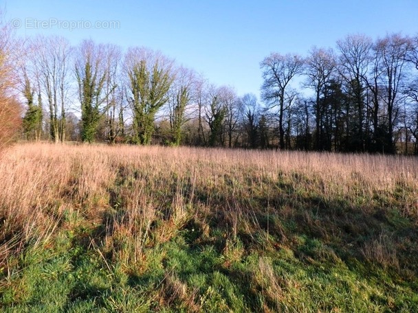 Terrain à LOCMALO