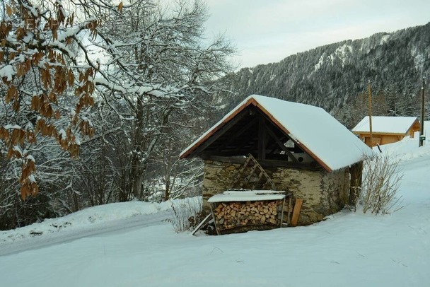 Maison à COHENNOZ