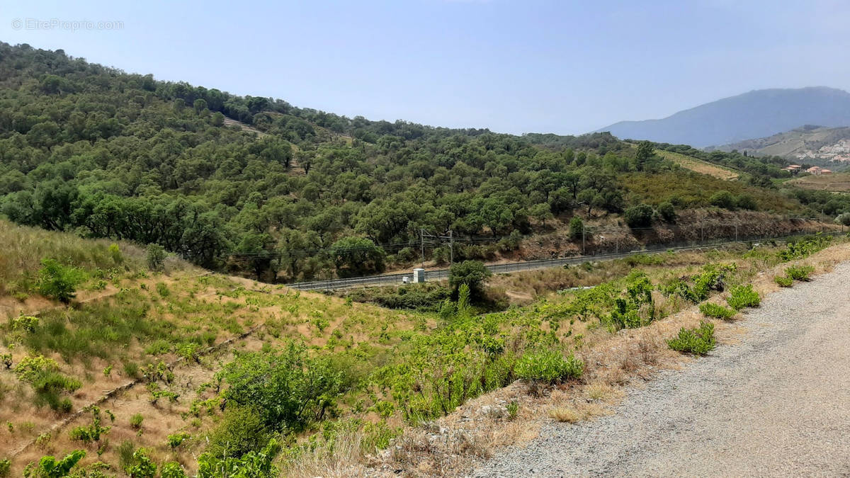 Terrain à BANYULS-SUR-MER