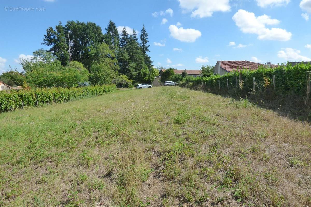 Terrain à CHANTONNAY