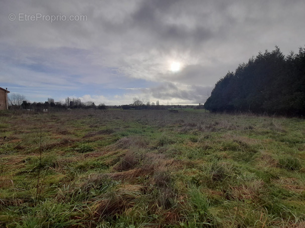 Terrain à SAINT-PRIEST-LES-FOUGERES