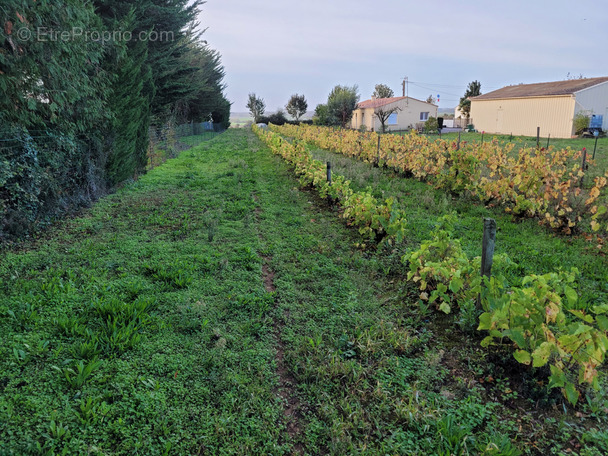 Terrain à SAINT-AUBIN-LA-PLAINE