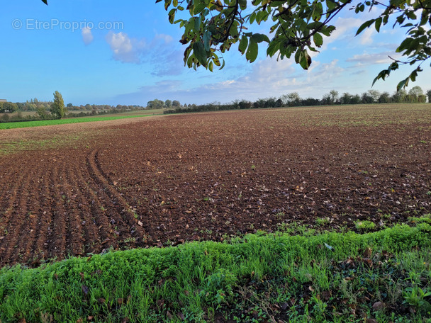 Terrain à SAINT-AUBIN-LA-PLAINE