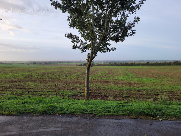 Terrain à SAINT-AUBIN-LA-PLAINE