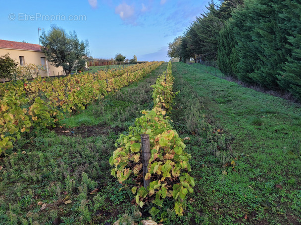 Terrain à SAINT-AUBIN-LA-PLAINE