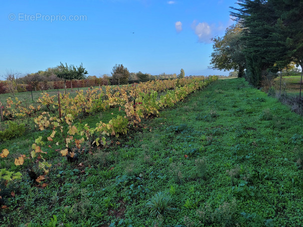 Terrain à SAINT-AUBIN-LA-PLAINE