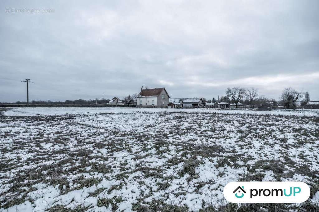 Terrain à GANNAY-SUR-LOIRE