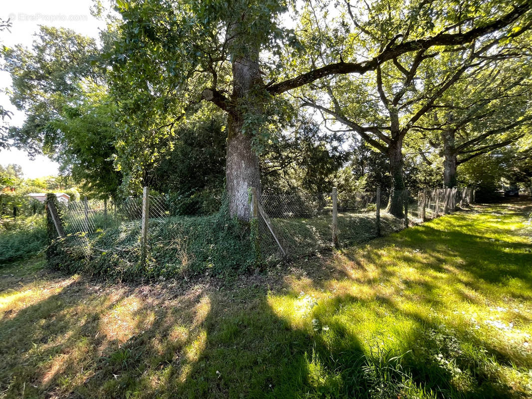 Terrain à MIGNALOUX-BEAUVOIR