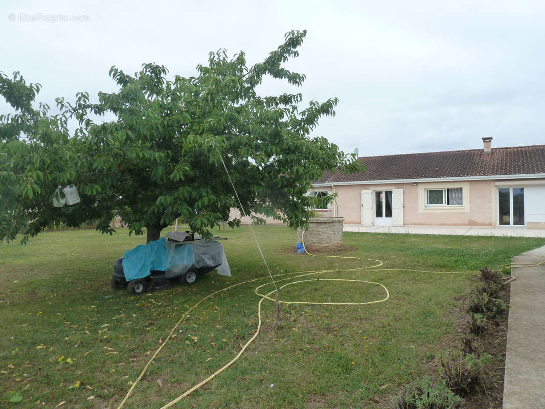 Maison à SAINT-VITE