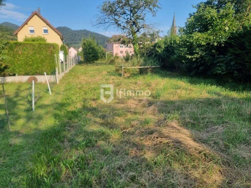 Terrain à WILLER-SUR-THUR