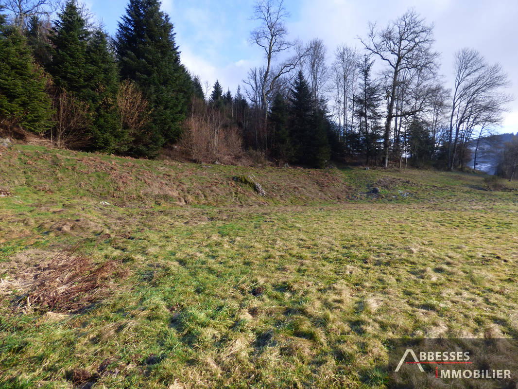 Terrain à LE THILLOT