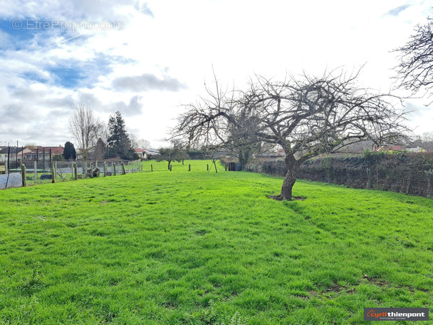 Terrain à LE TITRE