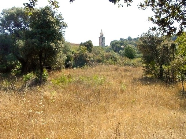 Terrain à SARTENE