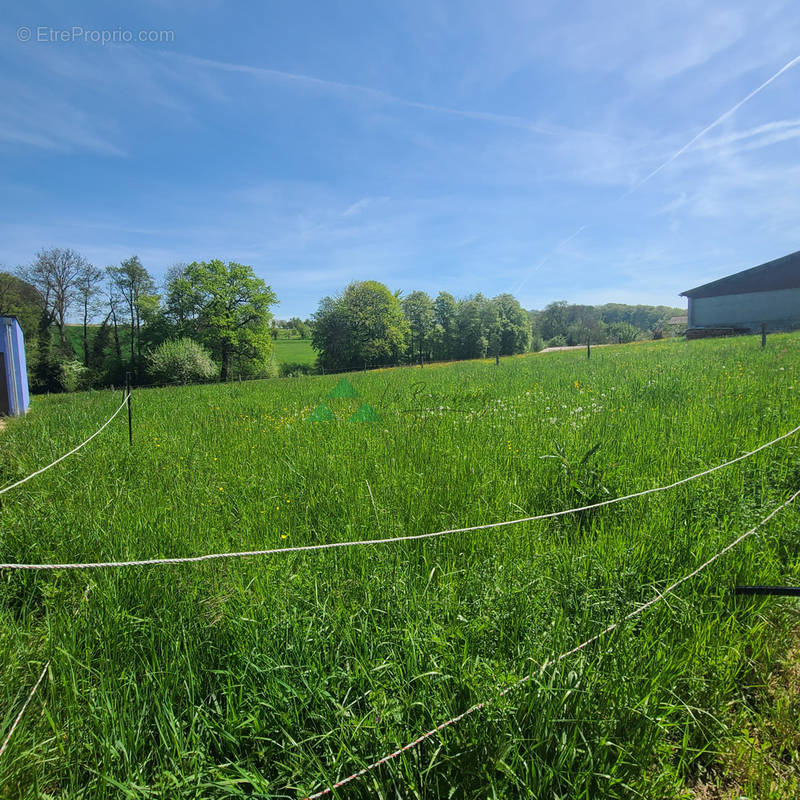 Terrain à KNOERINGUE