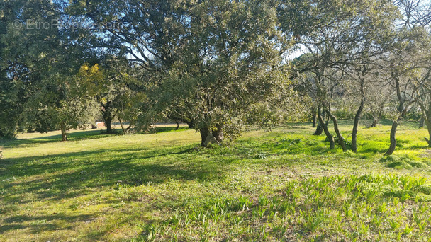 Terrain à UZES