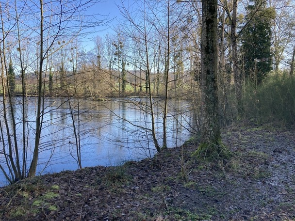 Terrain à LA PALLU