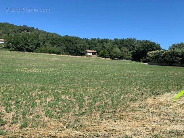 Terrain à SAINT-MARCEL-LES-SAUZET