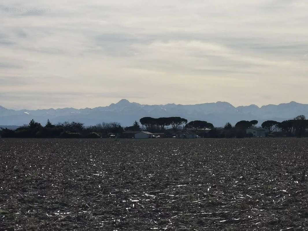 Appartement à CARBONNE