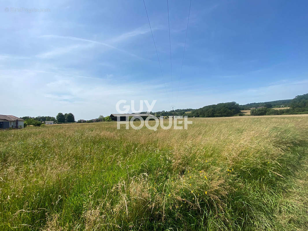 Terrain à RAMOUS