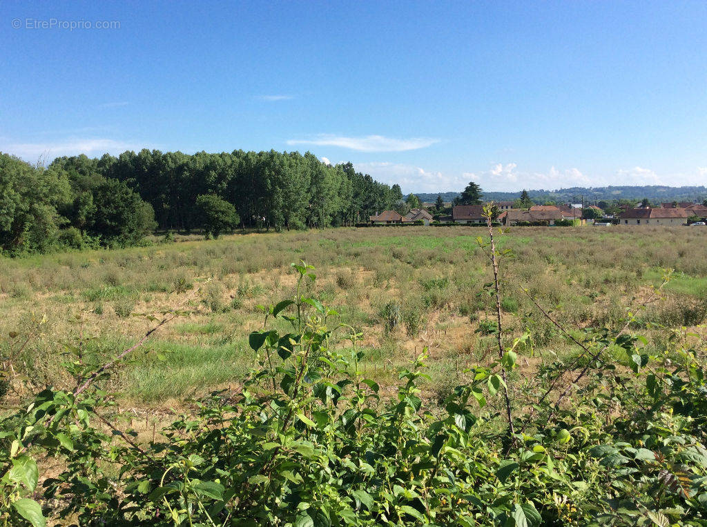 Terrain à RAMOUS