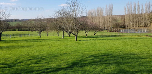 Terrain à CHATEAU-GONTIER