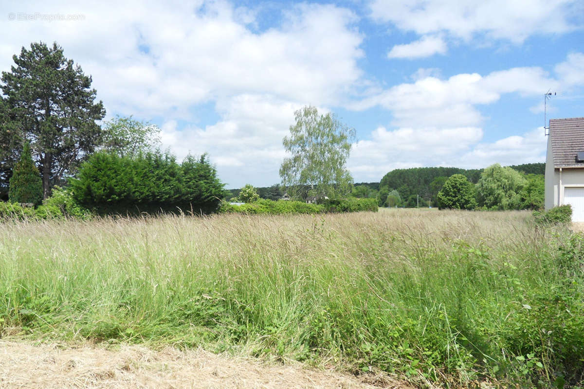 Terrain à NOGENT-LE-ROI