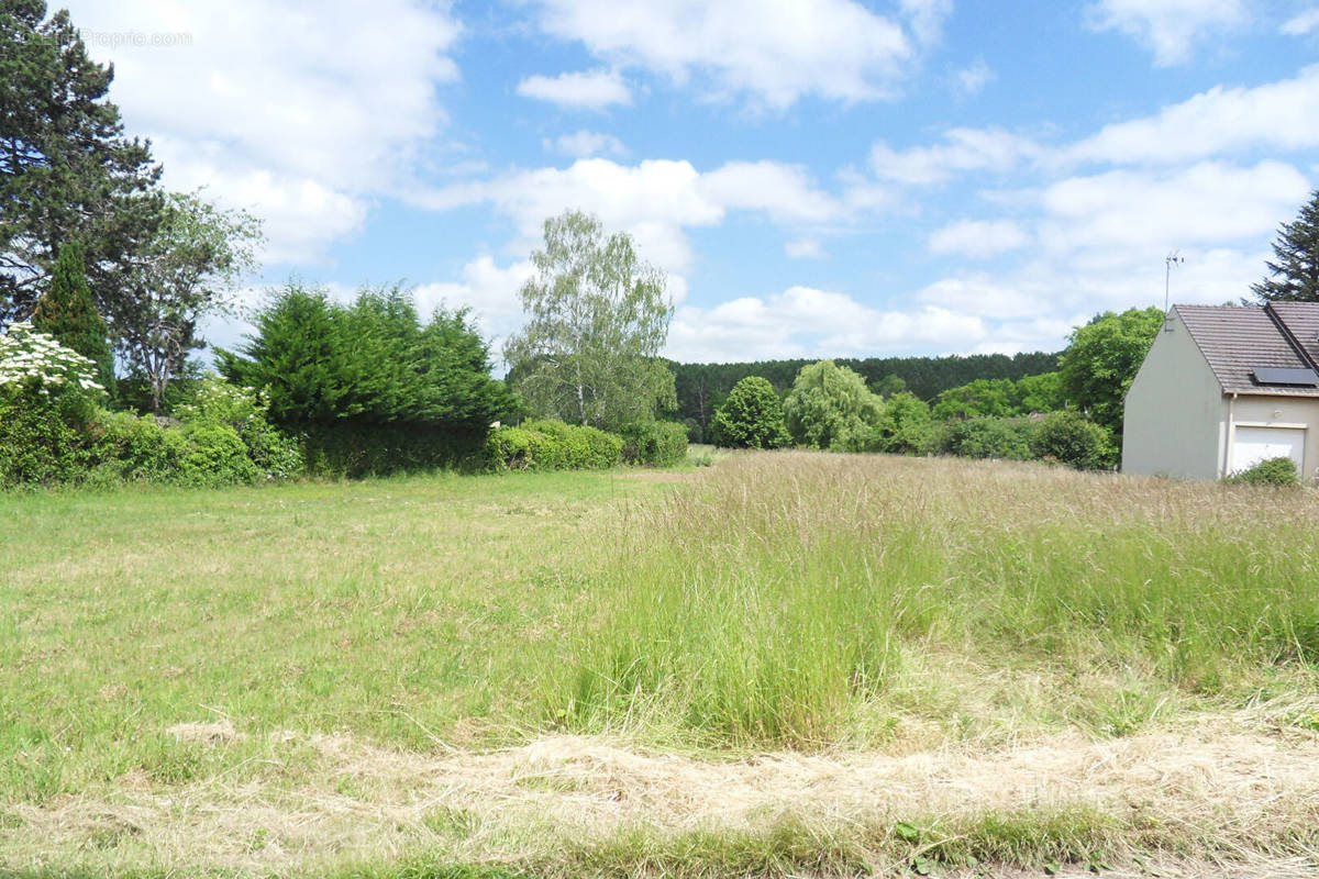 Terrain à NOGENT-LE-ROI