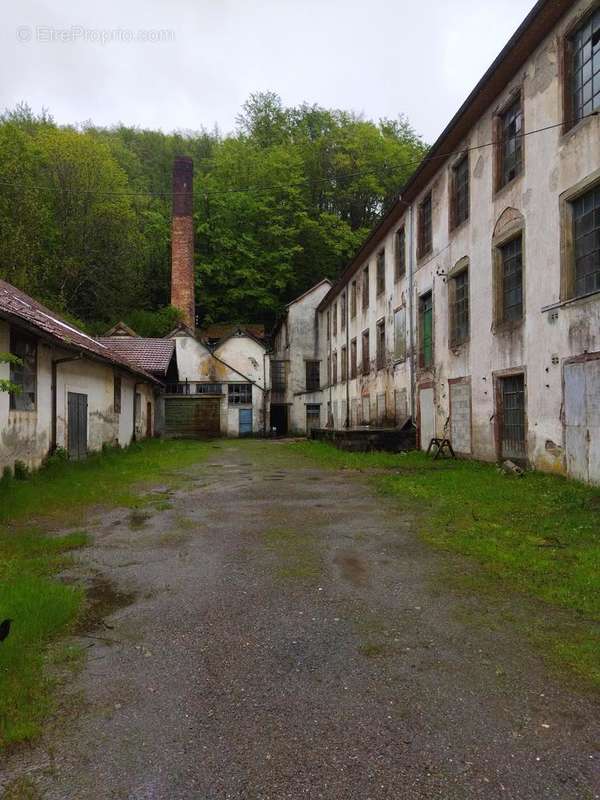 Photo 4 - Commerce à SAINT-MAURICE-SUR-MOSELLE