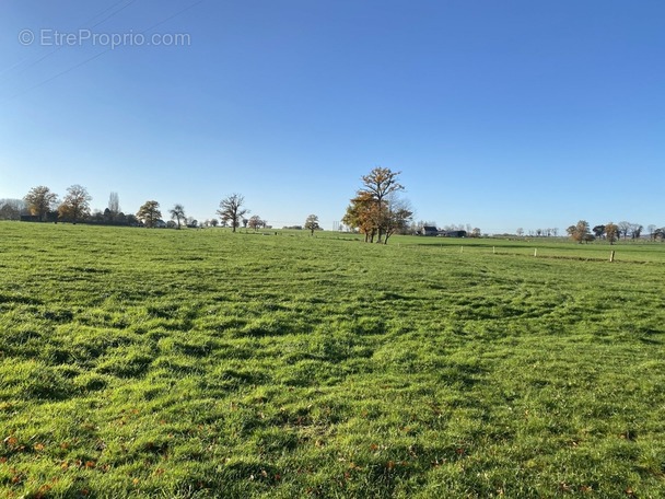 Terrain à BAGNOLES-DE-L&#039;ORNE