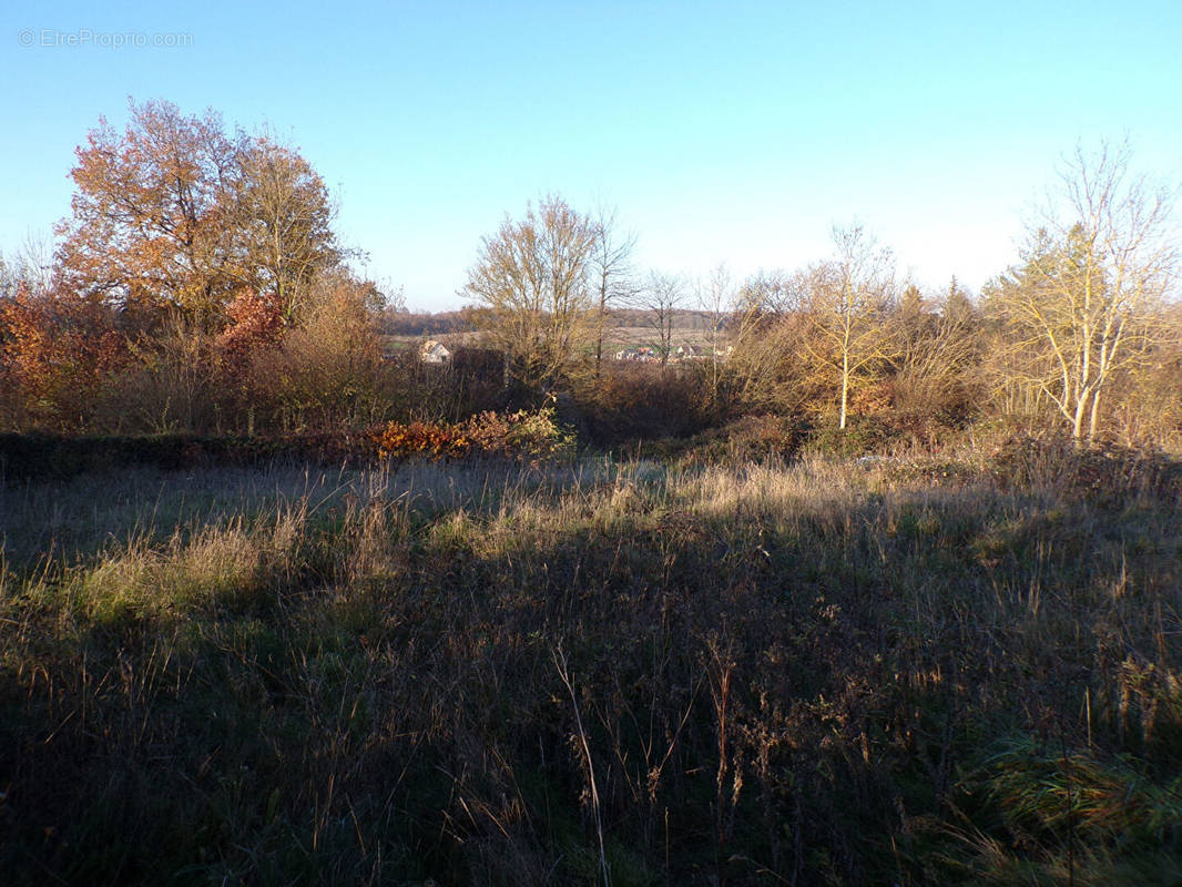 Terrain à DAMVILLE