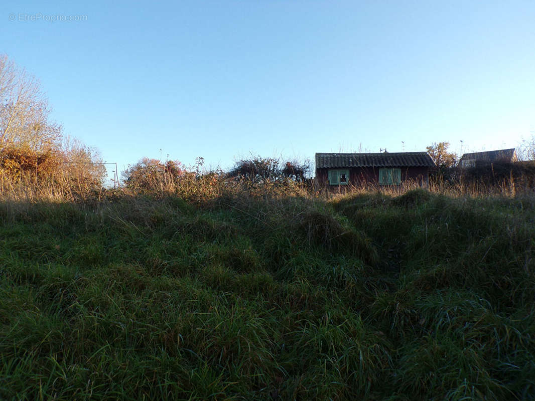 Terrain à DAMVILLE