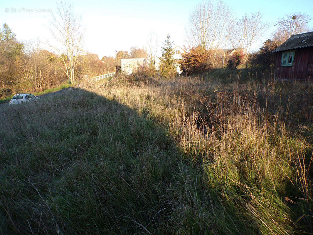 Terrain à DAMVILLE