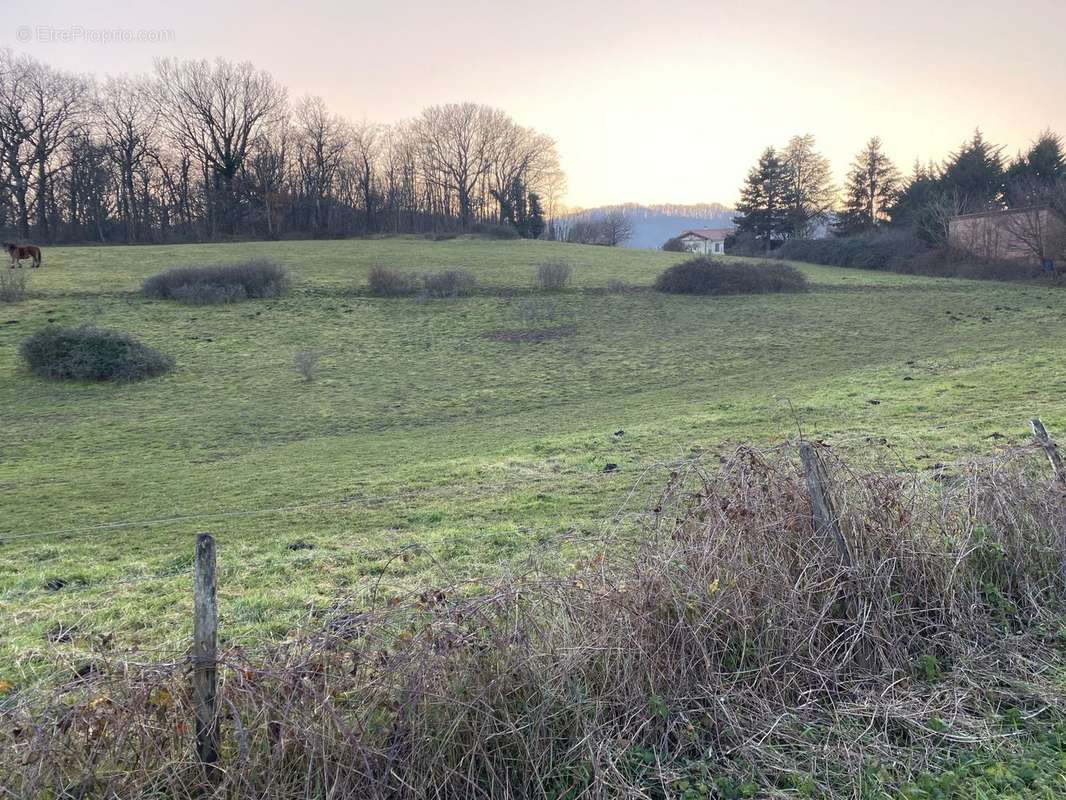 Terrain à SOLOGNY