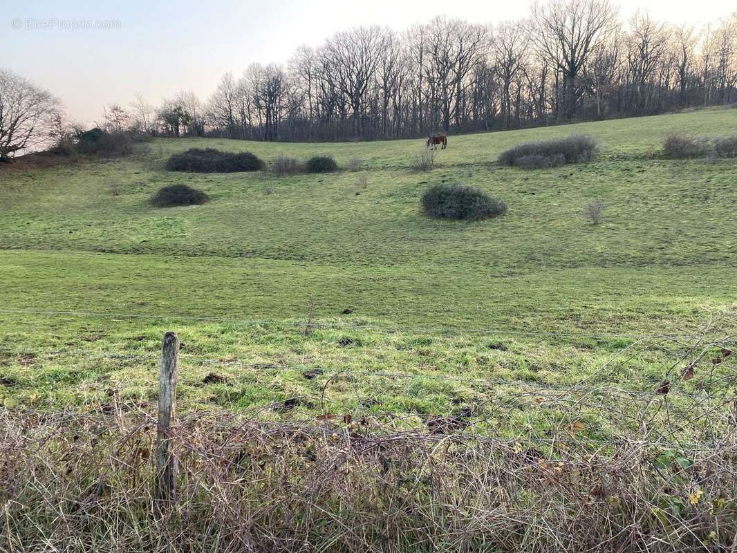 Terrain à SOLOGNY