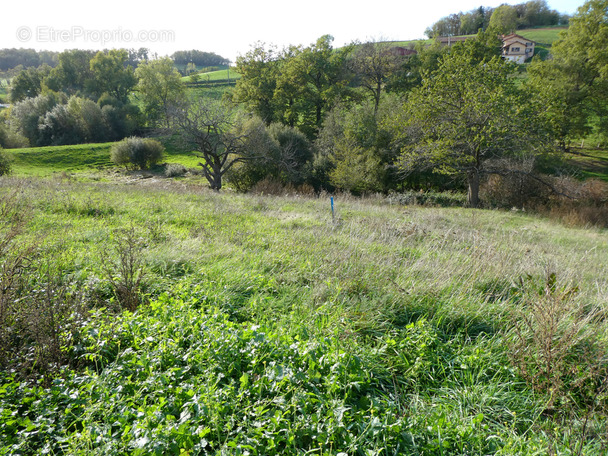 Terrain à SAINT-LAURENT-DE-CHAMOUSSET