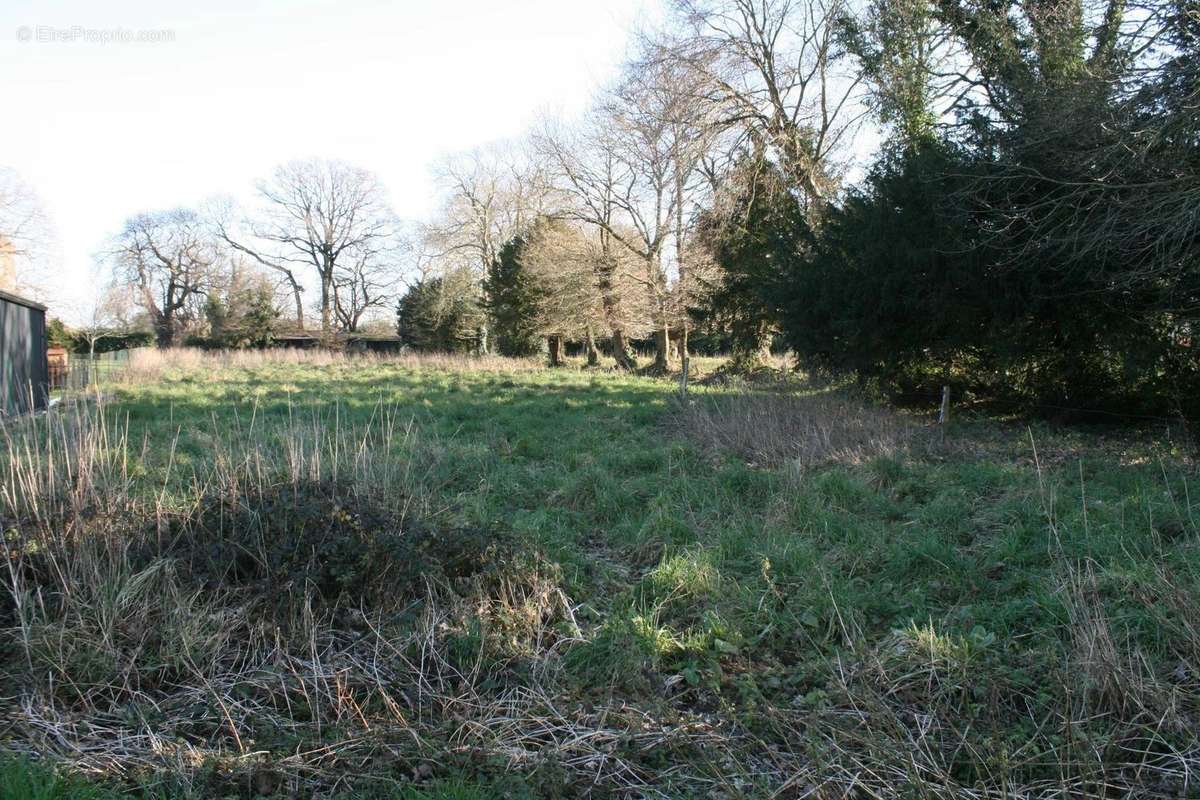 Terrain à LANTILLAC