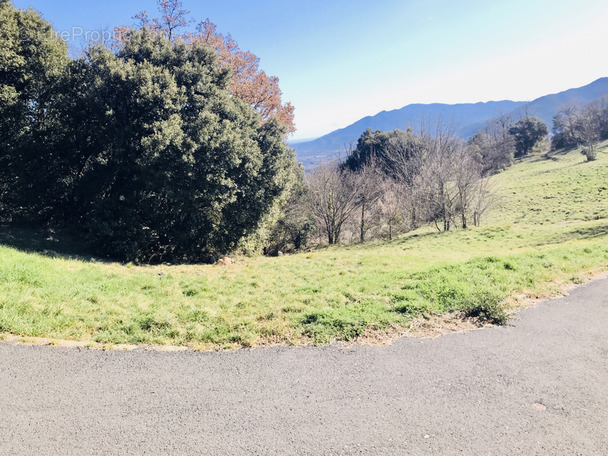 Terrain à AMELIE-LES-BAINS-PALALDA