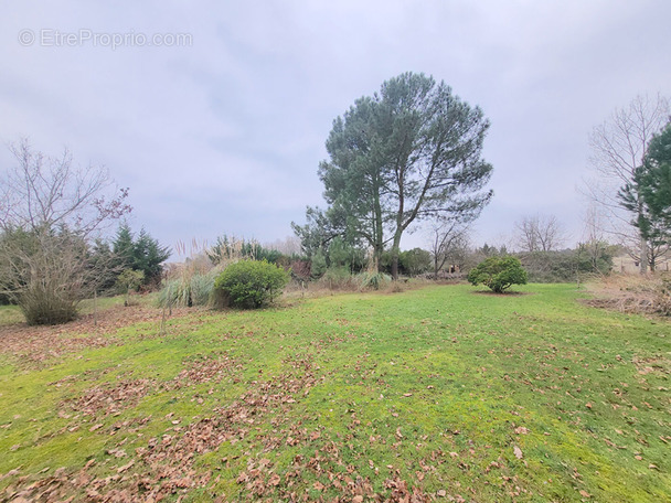 Terrain à BLAYE