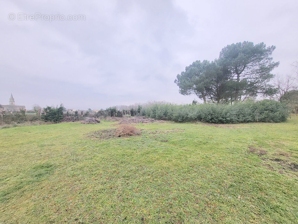 Terrain à BLAYE