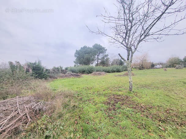 Terrain à BLAYE