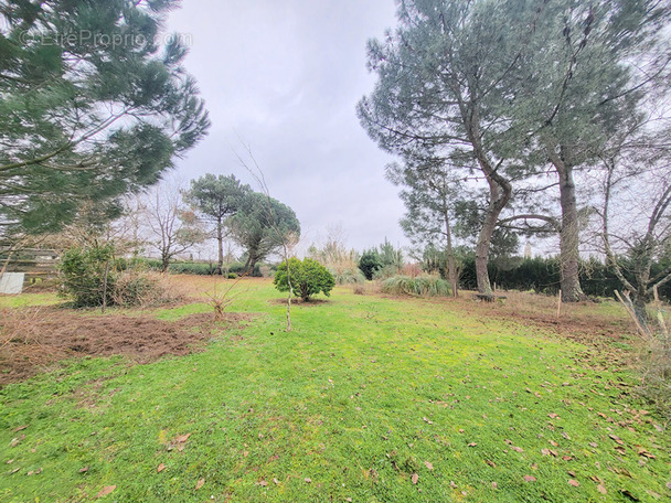 Terrain à BLAYE