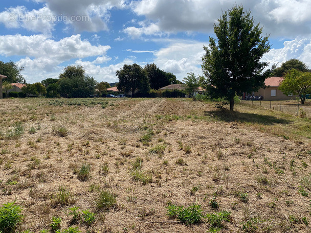 Terrain à AIRE-SUR-L&#039;ADOUR