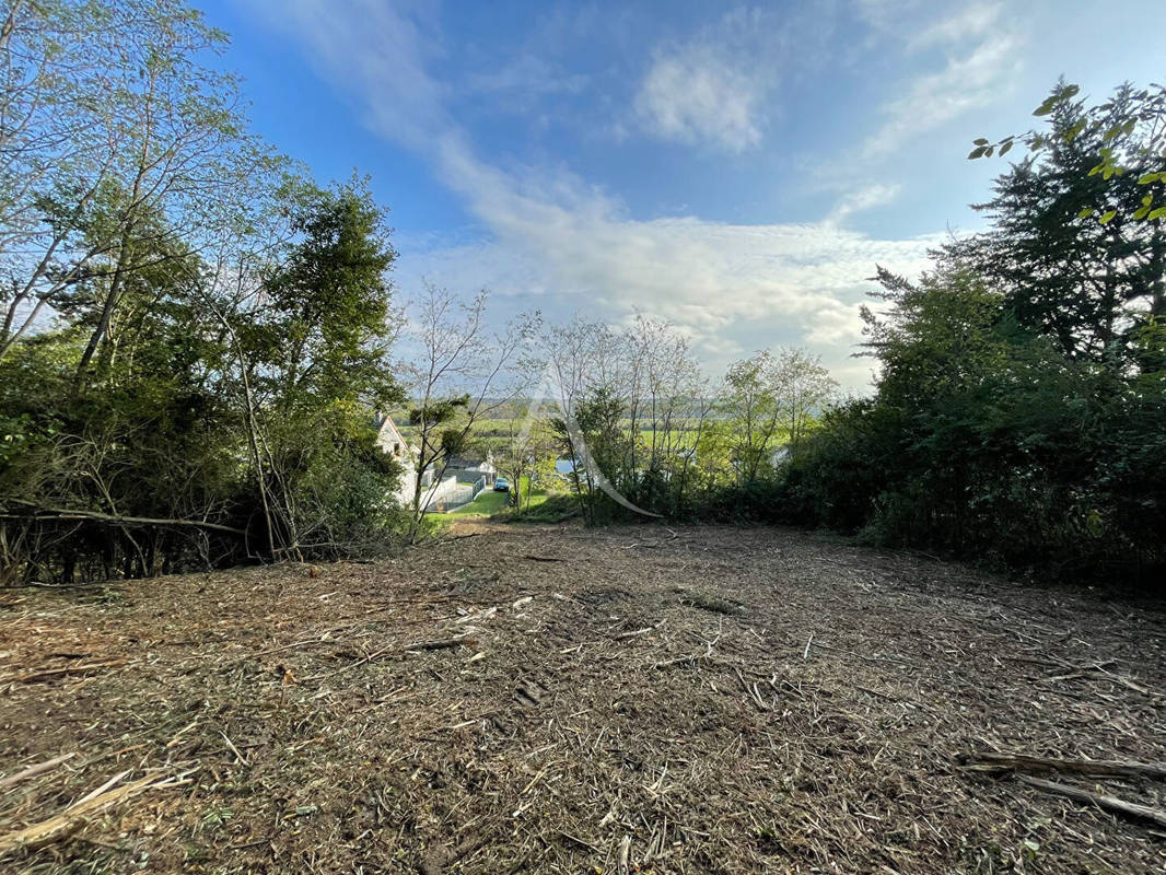 Terrain à CHISSAY-EN-TOURAINE