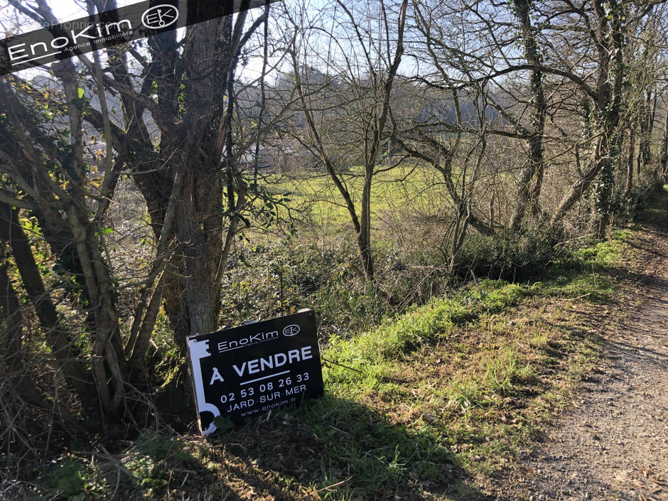 Terrain à LA ROCHE-SUR-YON