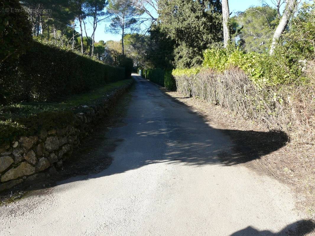 Terrain à MOUANS-SARTOUX