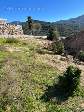 Terrain à PIETROSELLA