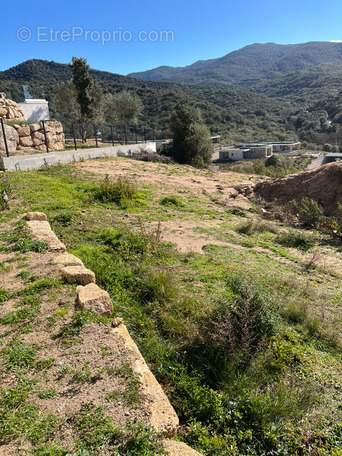 Terrain à PIETROSELLA