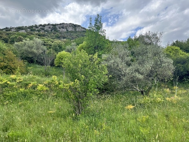 Terrain à SAINT-HIPPOLYTE-DU-FORT