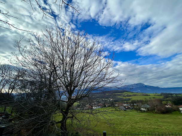 Terrain à JARRIE