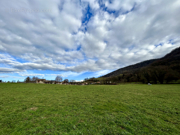 Terrain à JARRIE